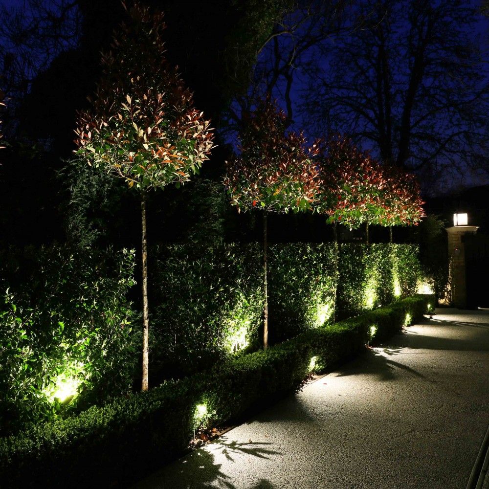 projecteur jardin